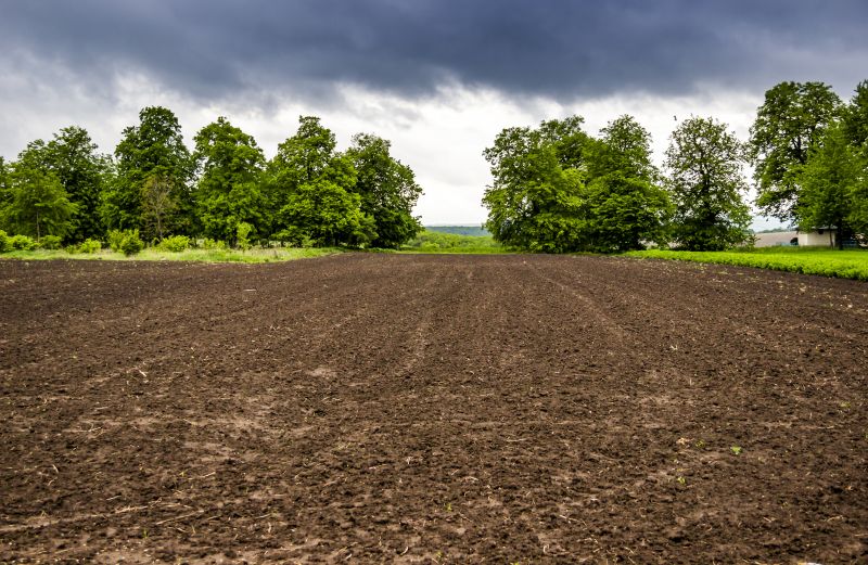 Ground Clearing in Salt Lake City, UT