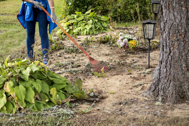 Land Preparation Service in Houston, TX