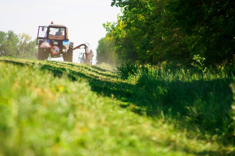 Pasture Clearing in Marietta, GA
