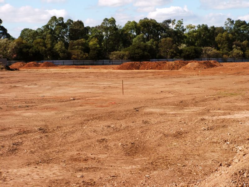 Pool Land Clearing in Houston, TX