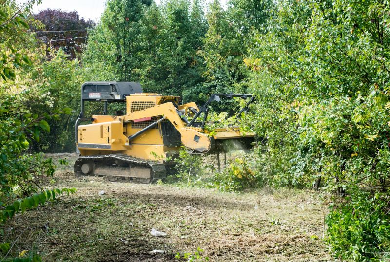 Property Line Clearing in Salt Lake City, UT
