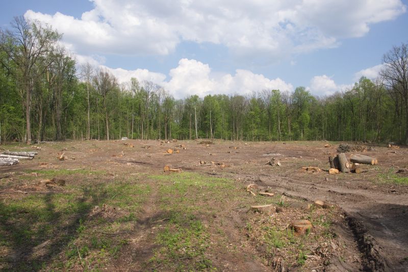 Terrain Clearing in Houston, TX