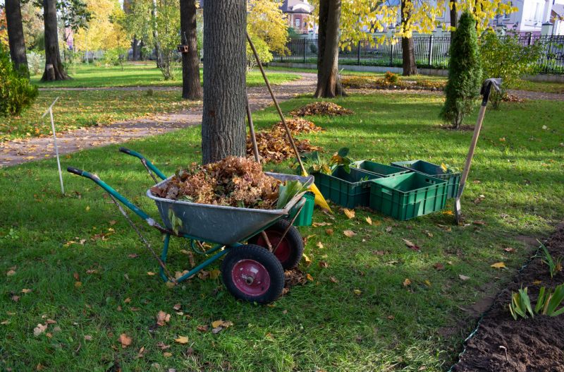 Undergrowth Removal in Atlanta, GA